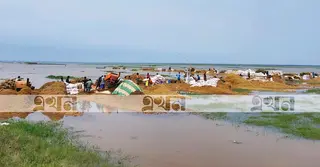 বৈরী আবহাওয়ায় মৌলভীবাজারে শুরু হয়নি ধান সংগ্রহ